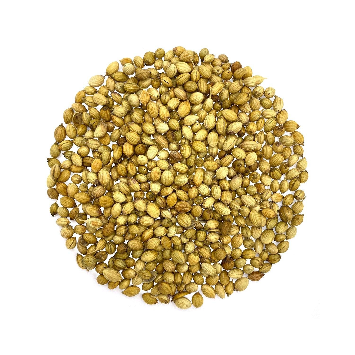 Coriander Seeds (Dhaniya)